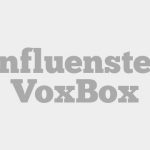 Influenster VoxBox